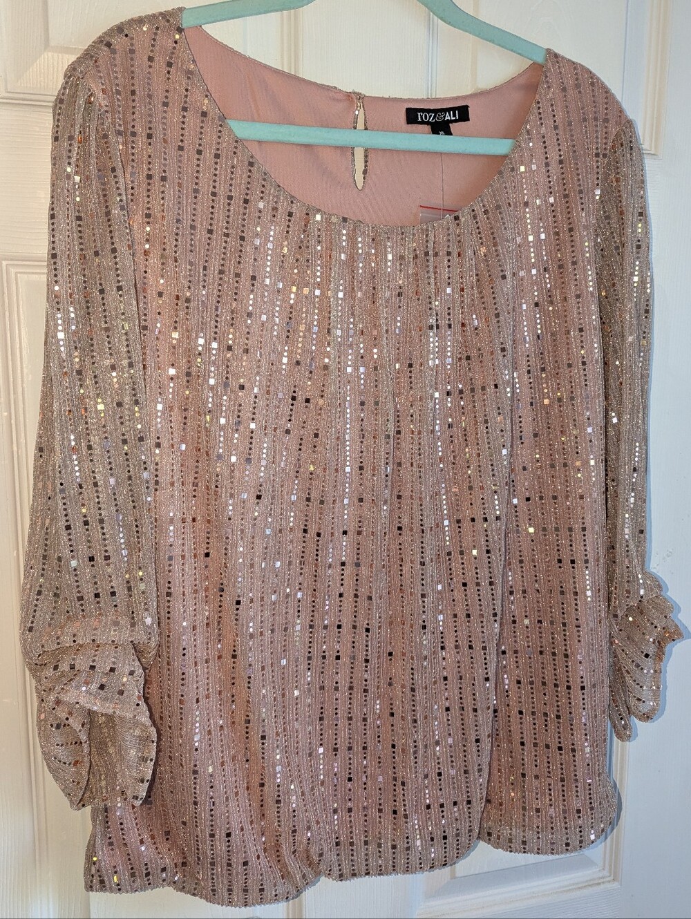 Roz & Ali Sequined Blush Pink-beige Scoop Neck Blouse - Size XL New Gorgeous
